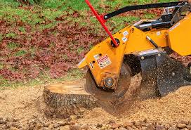 Lawn Watering Services in Valley Stream, NY
